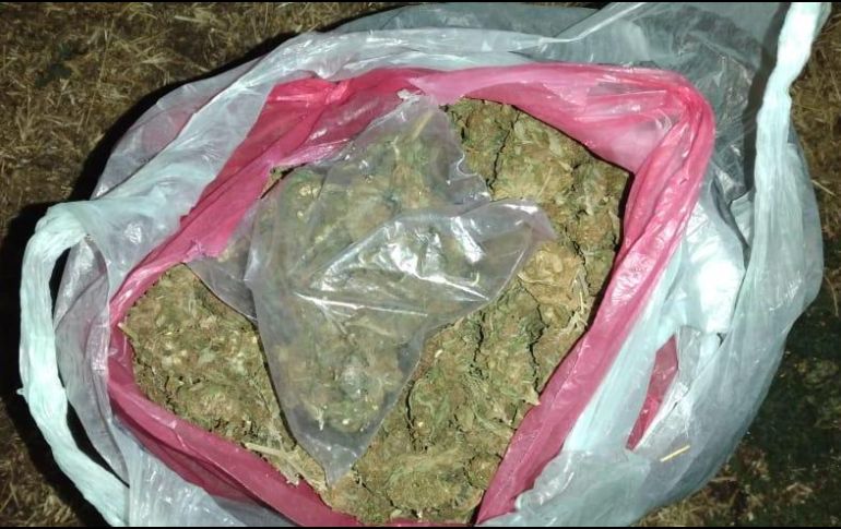 El elemento de seguridad del estado portaba un kilo y 150 gramos de mariguana. ESPECIAL/Policía de Guadalajara