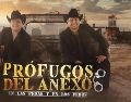 La gira “Prófugos de anexo, en las pedas y en los pedos” ha sido todo un éxito en varios estados de México. ESPECIAL/ Boletito.com.